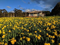 Book Golden Valley Accommodation Vacations Accommodation Brisbane Accommodation Brisbane