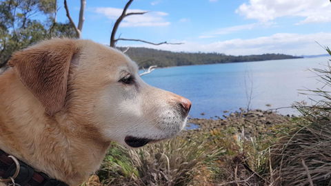 Four Seasons Waterfront Villas - Accommodation Brisbane 35