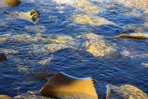 Blu-Sea 365 - Accommodation Brisbane 28