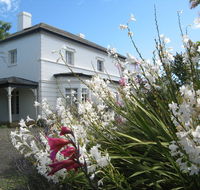 The Grove Cottages - Accommodation Brisbane