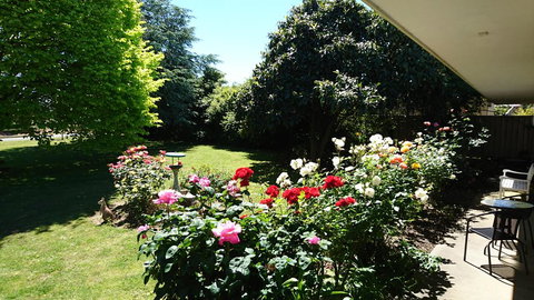 Opal Motel - Accommodation Brisbane 2