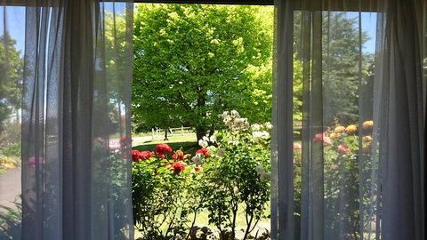 Opal Motel - Accommodation Brisbane 1