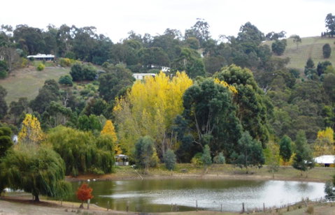 Pamelas Retreat - Accommodation Brisbane 3