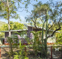 Papillon Bleu - Accommodation Brisbane