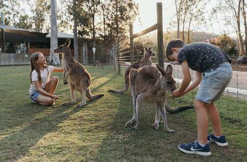 Paradise Country Farmstay - Accommodation Brisbane 1