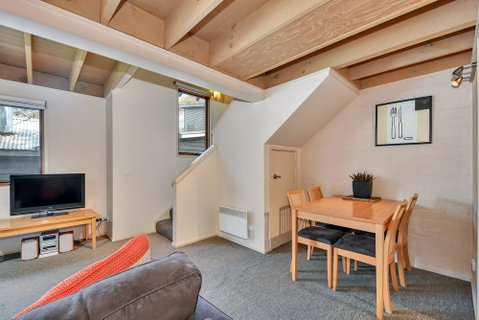 Pinot - Accommodation Brisbane 3