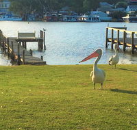 Riverfront Getaway - Mannum - Accommodation Brisbane