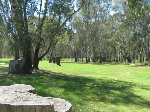 Rivergum Holiday Park - Accommodation Brisbane 2