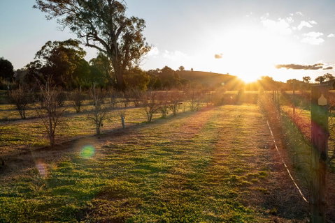 Riverview Farm & Guesthouse - Accommodation Brisbane 3
