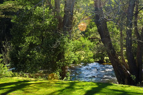Russell Falls Holiday Cottages - Accommodation Brisbane 2