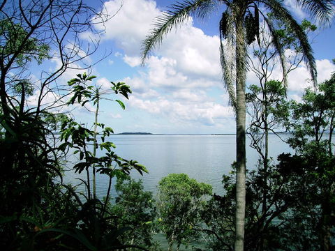 Seminara Apartments Coochiemudlo Island - Accommodation Brisbane 1