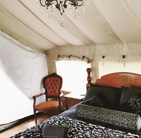 Silk Pavilions Glamping - Accommodation Brisbane 1
