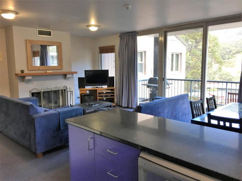 Snowman 6 - Accommodation Brisbane 3