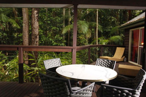Songbirds Rainforest Retreat - Accommodation Brisbane 1