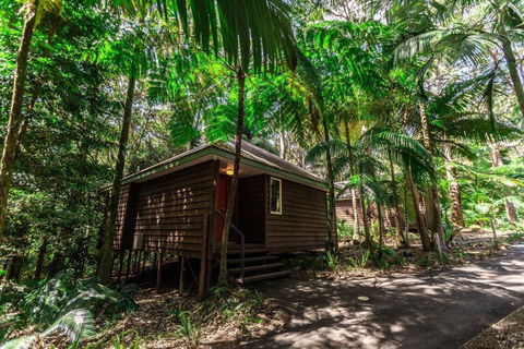 Songbirds Rainforest Retreat - Accommodation Brisbane 2