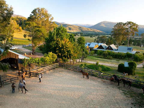 Spring Spur - Accommodation Brisbane 3