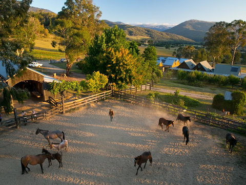 Spring Spur - Accommodation Brisbane 0