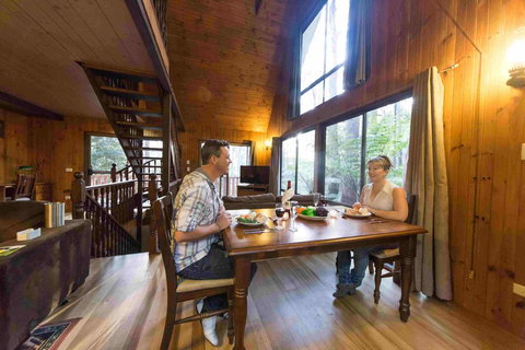 Springbrook Mountain Chalets - Accommodation Brisbane 2