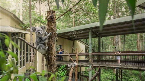 Springwood Meditation Centre - Accommodation Brisbane 0