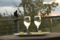 Book Forest Hill Accommodation Vacations Accommodation Brisbane Accommodation Brisbane