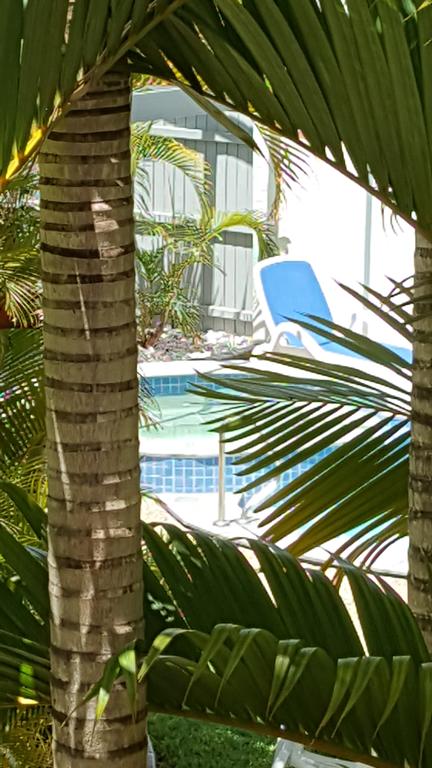 Studio Apartment Mooloolaba Beach Holiday Management - Accommodation Brisbane 0