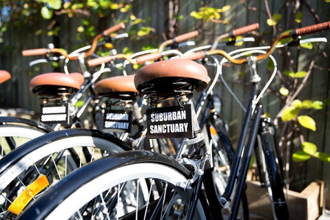 Suburban Sanctuary - Accommodation Brisbane 1