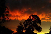 Book Thulimbah Accommodation Vacations Accommodation Brisbane Accommodation Brisbane