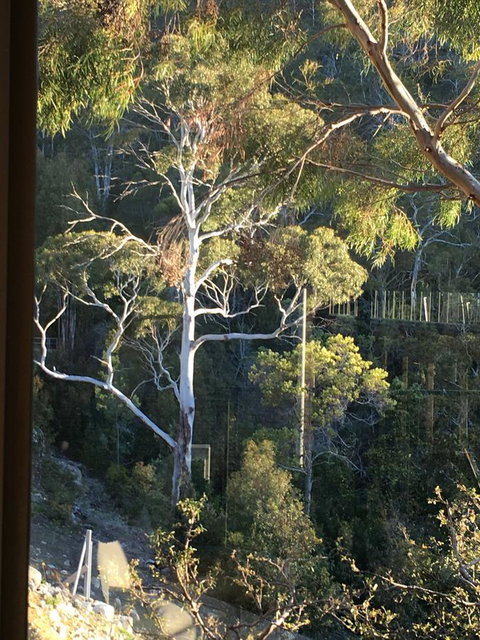 The Lookout - Accommodation Brisbane 22