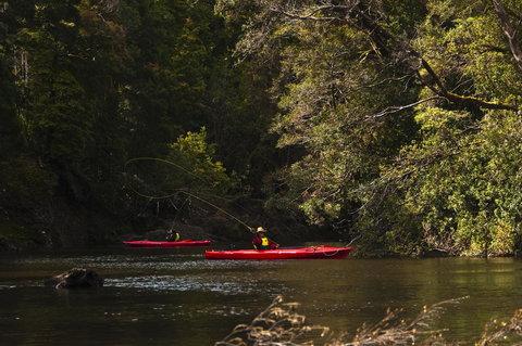 Corinna Wilderness Village - Accommodation Brisbane 38