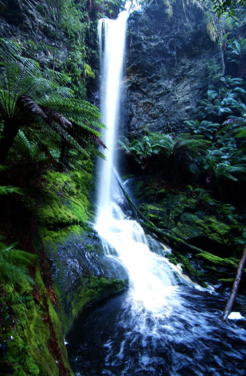 Corinna Wilderness Village - Accommodation Brisbane 40