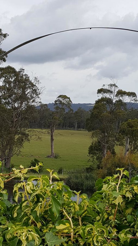 Hazelcreek Cottages - Accommodation Brisbane 34