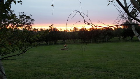 Hazelcreek Cottages - Accommodation Brisbane 33