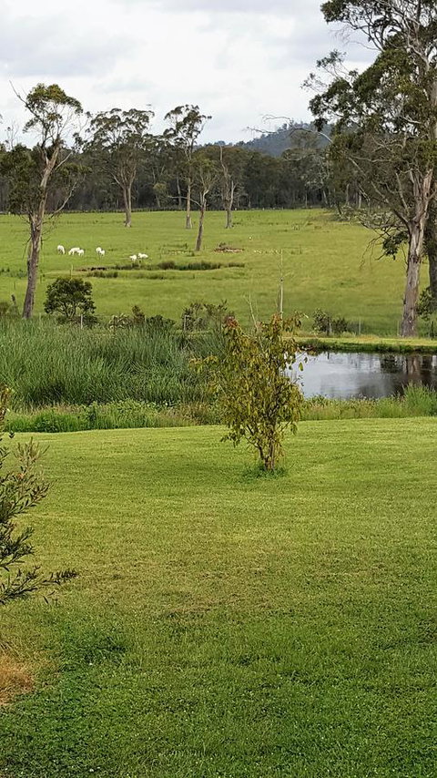 Hazelcreek Cottages - Accommodation Brisbane 7