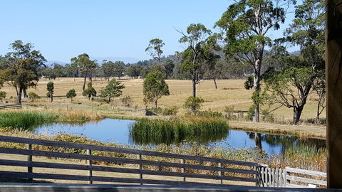 Hazelcreek Cottages - Accommodation Brisbane 2