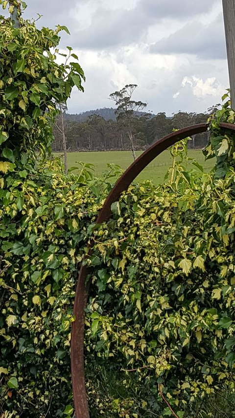 Hazelcreek Cottages - Accommodation Brisbane 36