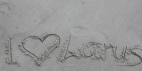 Larus Waterfront Cottage - Accommodation Brisbane 19