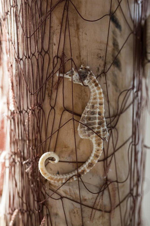 Larus Waterfront Cottage - Accommodation Brisbane 18