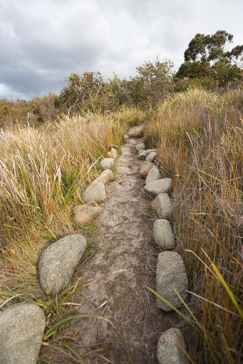 Larus Waterfront Cottage - Accommodation Brisbane 16