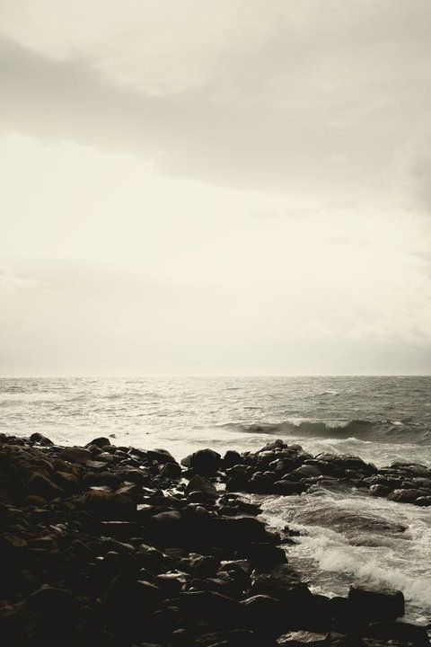 Larus Waterfront Cottage - Accommodation Brisbane 21