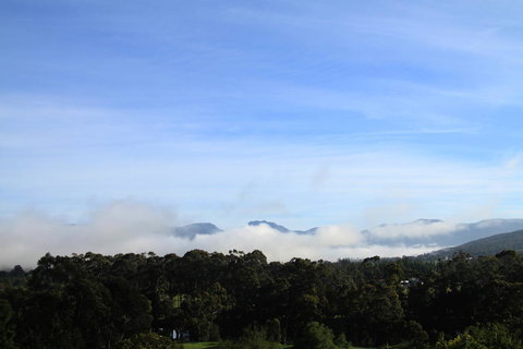 BIG.SHED.HOUSE - Accommodation Brisbane 11