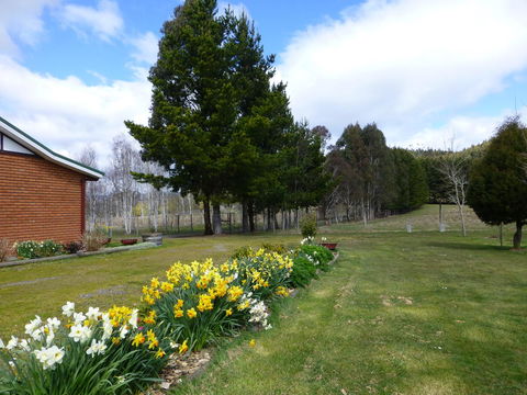 Quamby Pines Chalet - Accommodation Brisbane 23