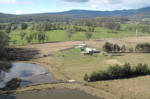 Quamby Pines Chalet - Accommodation Brisbane 9