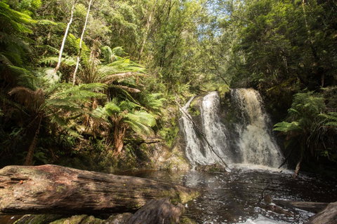 Strahan Village - Accommodation Brisbane 27