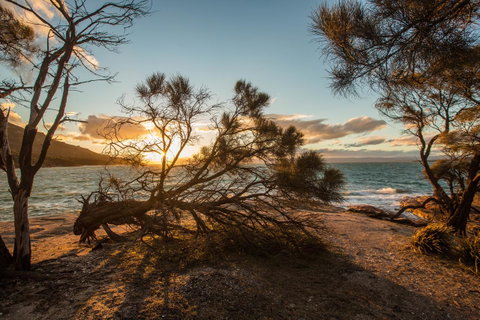 Freycinet Lodge - Accommodation Brisbane 44