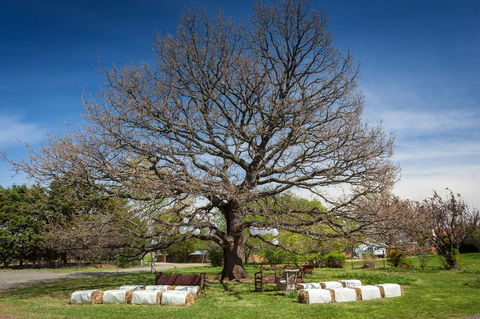 Ratho Farm - Accommodation Brisbane 8