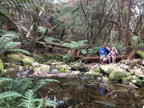 Derby Forest Cabins - Accommodation Brisbane 17