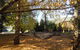 Whispering Spirit Holiday Cottages & Mini Ponies - thumb 5