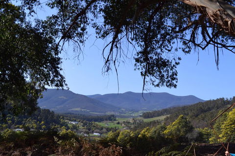 Whispering Spirit Holiday Cottages & Mini Ponies - Accommodation Brisbane 14
