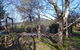 Whispering Spirit Holiday Cottages & Mini Ponies - thumb 11
