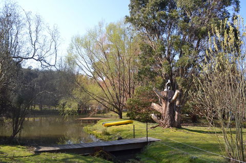 Whispering Spirit Holiday Cottages & Mini Ponies - Accommodation Brisbane 12